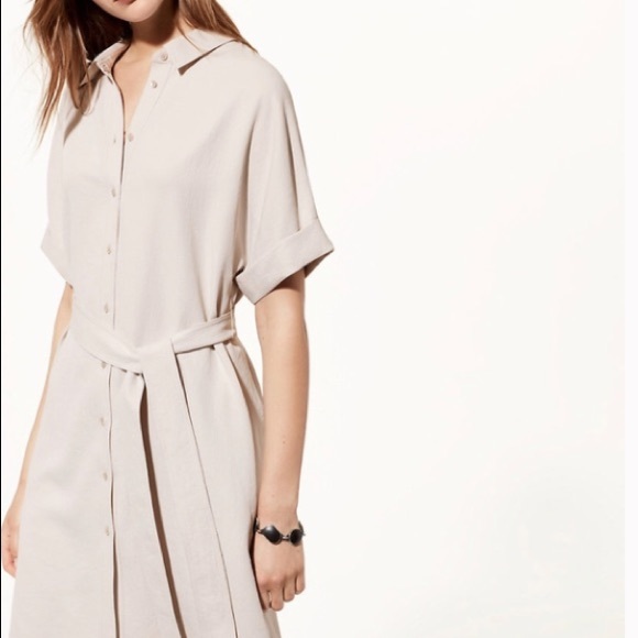 Aritzia Dresses & Skirts - Babaton Shirt dress